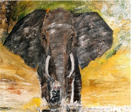 Elefant 3